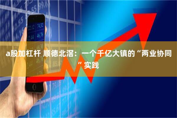 a股加杠杆 顺德北滘：一个千亿大镇的“两业协同”实践